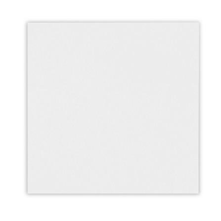 แผ่นยิปซั่ม GM EASTBERG ขาวผ่อง 60x60x0.8 ซม. (แพ็ก 10 ชิ้น)_1