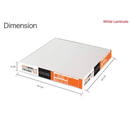 แผ่นยิปซั่ม GM EASTBERG ขาวผ่อง 60x60x0.8 ซม. (แพ็ก 10 ชิ้น)_4