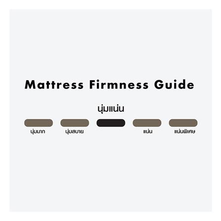 ที่นอน 6 ฟุต SATIN HERITAGE OPAL_6