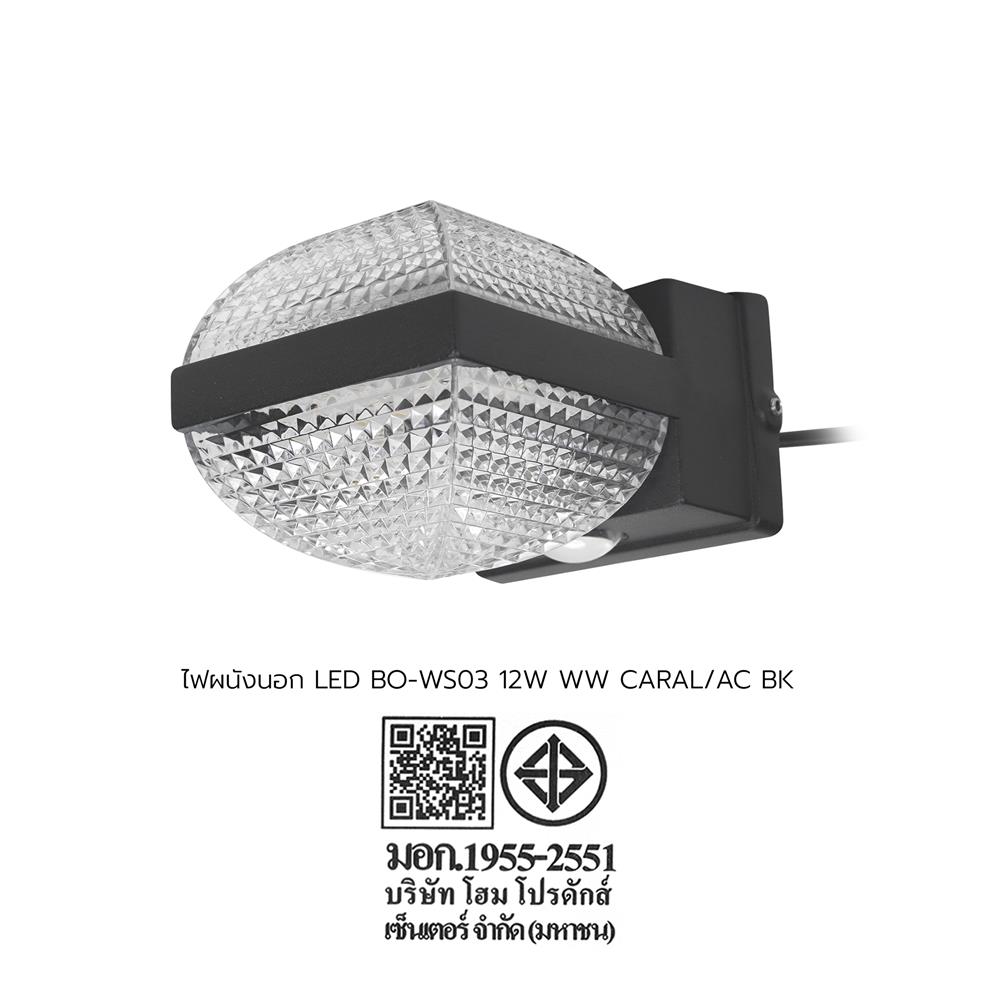 ไฟผนังภายนอก LED CARINI BO-WS03 12 วัตต์ WARM WHITE สีดำ