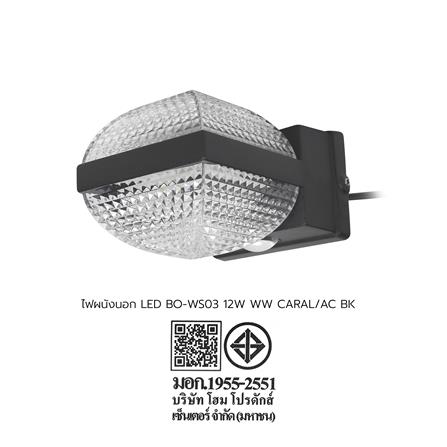 ไฟผนังภายนอก LED CARINI BO-WS03 12 วัตต์ WARM WHITE สีดำ_9