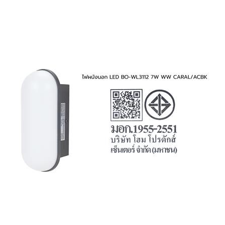 ไฟผนังภายนอก LED CARINI BO-WL3112 7 วัตต์ WARM WHITE สีดำ_9