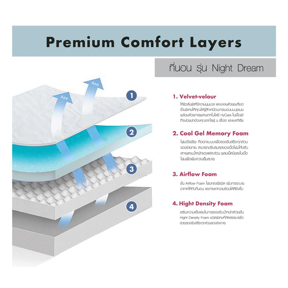 ที่นอน 3.5 ฟุต DREAM TREE NIGHT DREAM