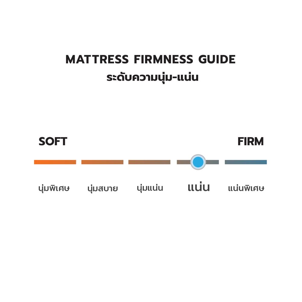 ที่นอน 3.5 ฟุต DREAM TREE NIGHT DREAM