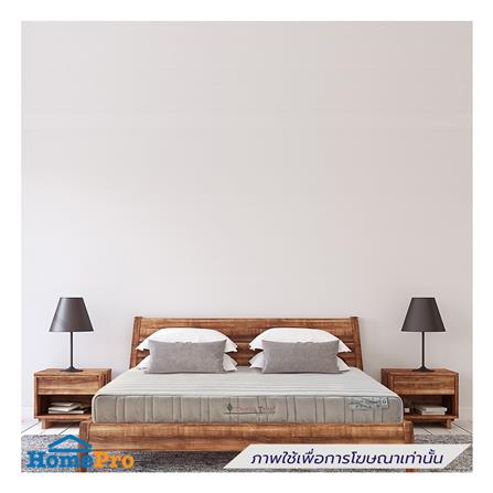 ที่นอน 3.5 ฟุต DREAM TREE NIGHT DREAM_4