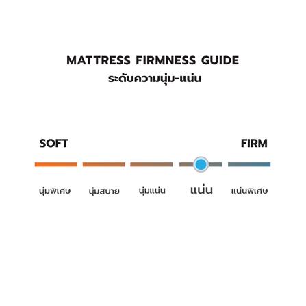 ที่นอน 3.5 ฟุต DREAM TREE NIGHT DREAM_6