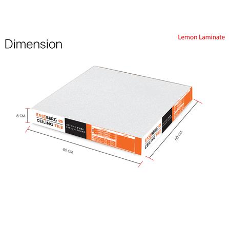 แผ่นยิปซั่ม GM EASTBERG เลมอน 60x60x0.8 ซม. (แพ็ก 10 ชิ้น)_4