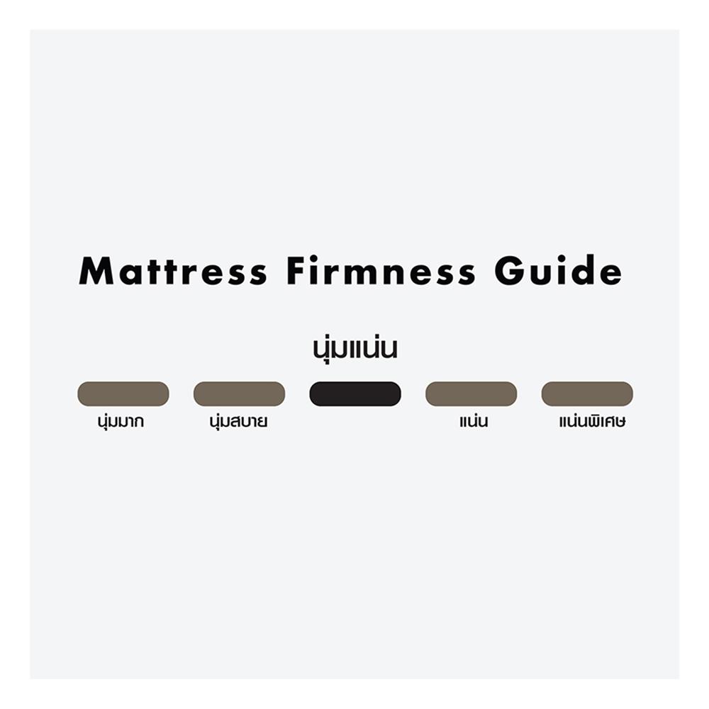 ที่นอน 5 ฟุต SATIN HERITAGE OPAL