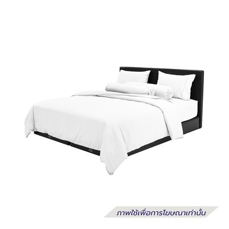 ชุดผ้าปูที่นอน 6 ฟุต (ชุด 7 ชิ้น) SANTAS COTTON USA MORNING MOOD WH_1