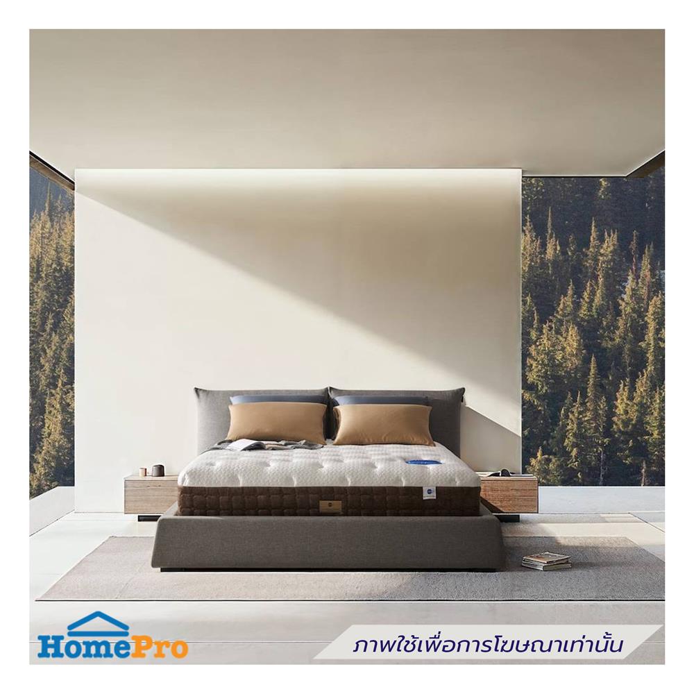 ที่นอน 3.5 ฟุต OMAZZ FENTOUS (พร้อมชุดเครื่องนอน 6 ชิ้น)