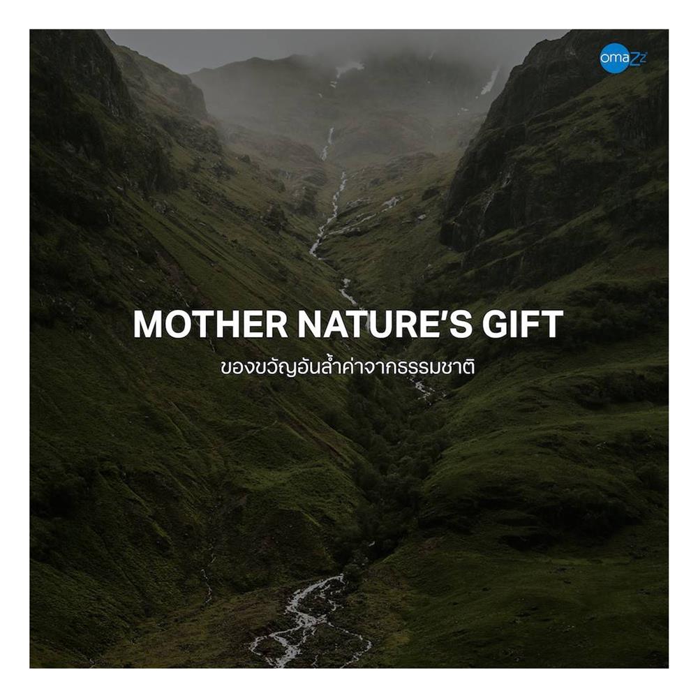 ที่นอน 3.5 ฟุต OMAZZ FENTOUS (พร้อมชุดเครื่องนอน 6 ชิ้น)