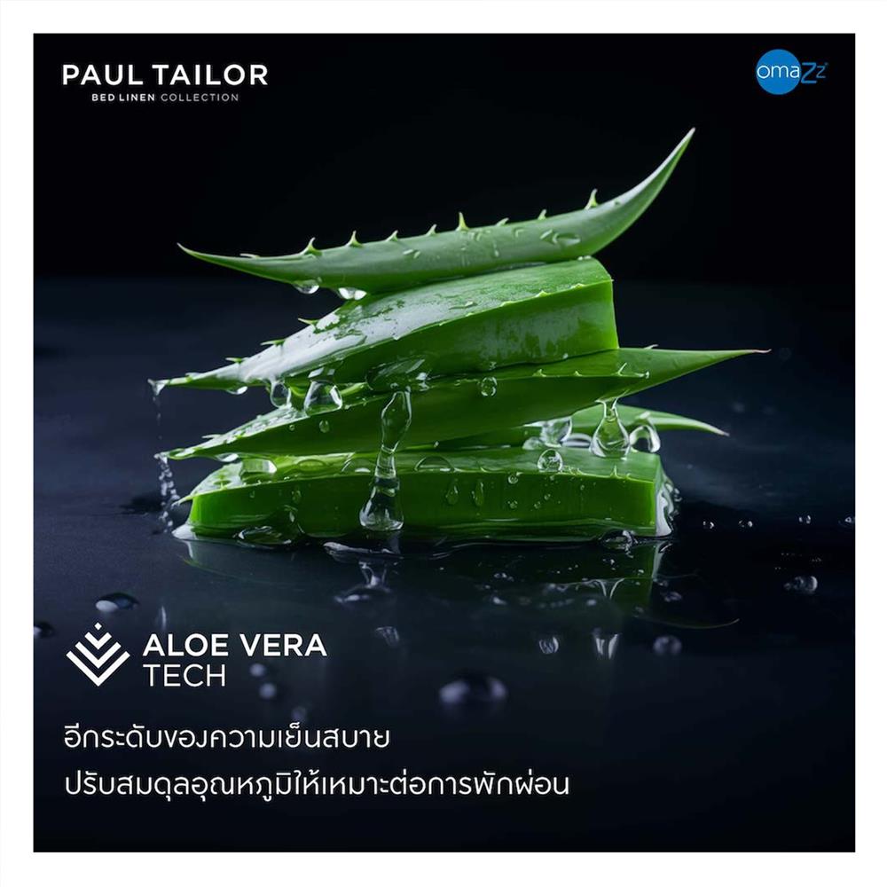 ปลอกผ้านวม OMAZZ PAUL TAILOR 70x90 นิ้ว PACIFIC