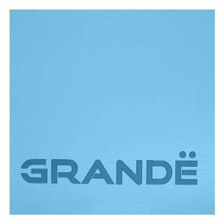 เสื่อโยคะ GRANDE PU TPE สีฟ้า/ดำ_2
