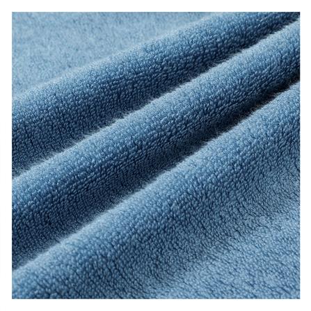 ผ้าขนหนู HOME LIVING STYLE TERRA 30x60 นิ้ว สี BLUE_4