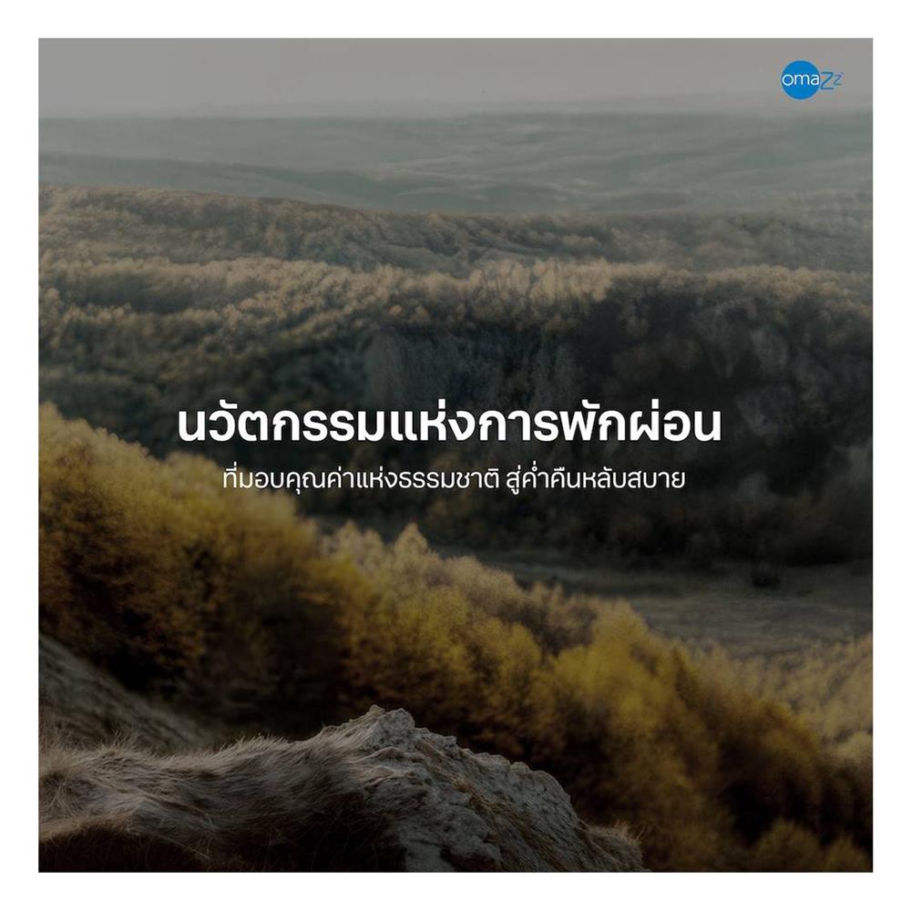 ที่นอน 5 ฟุต OMAZZ FENTOUS (พร้อมชุดเครื่องนอน 8 ชิ้น)