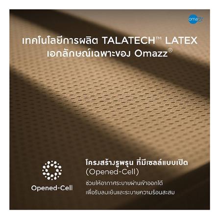 ที่นอน 6 ฟุต OMAZZ FERRIS (พร้อมชุดเครื่องนอน 8 ชิ้น)_9