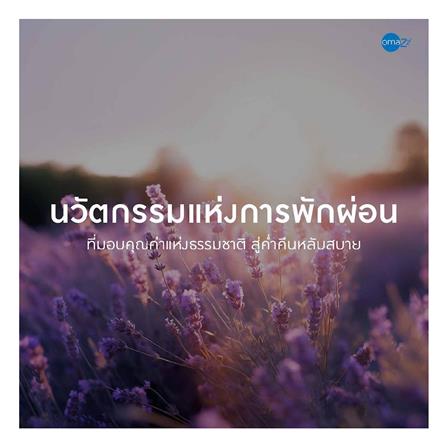 ที่นอน 6 ฟุต OMAZZ FINCHLEY (พร้อมชุดเครื่องนอน 8 ชิ้น)_13