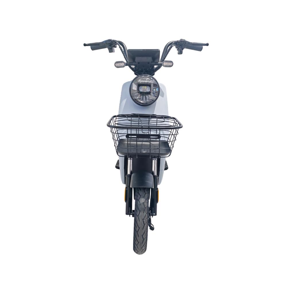 จักรยานไฟฟ้า EM ECO NATION PLUS 10 นิ้ว สีเทา