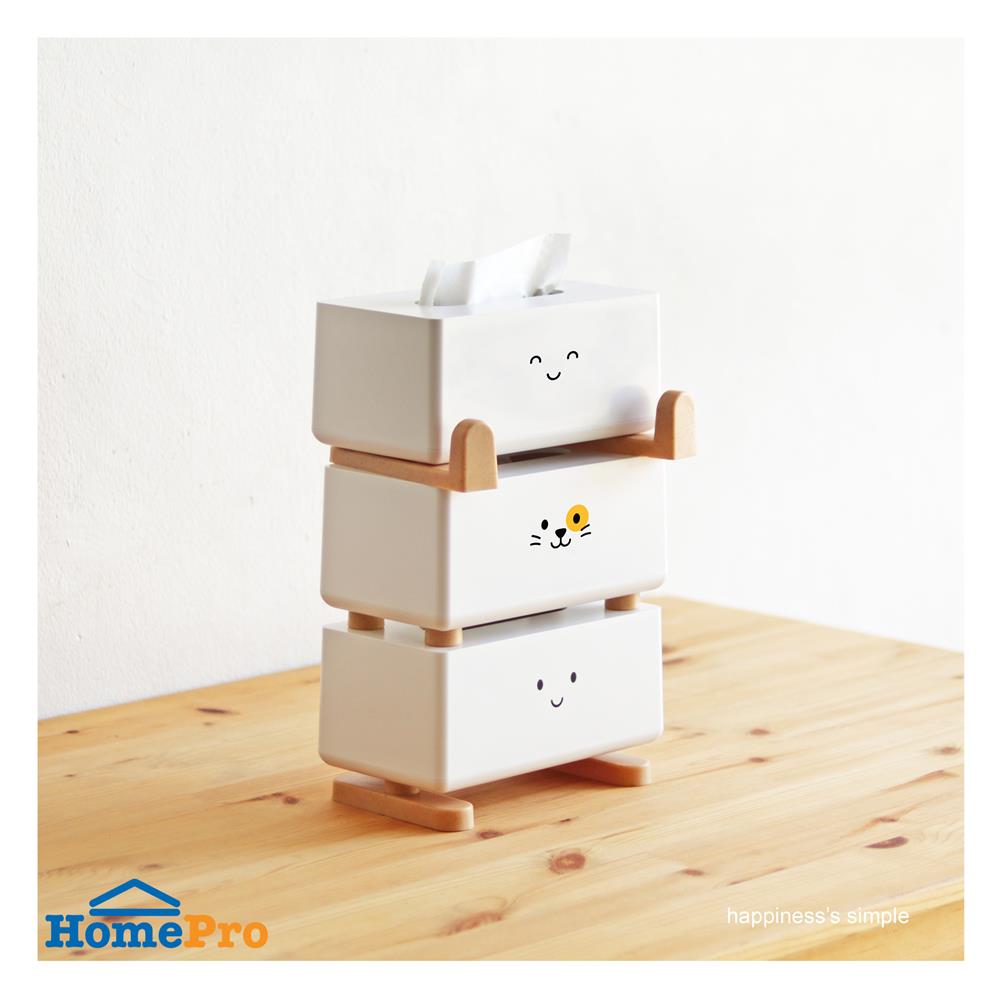 กล่องทิชชู่ซอฟท์แพค MINIMAL SCULPT FRIEND SMILE