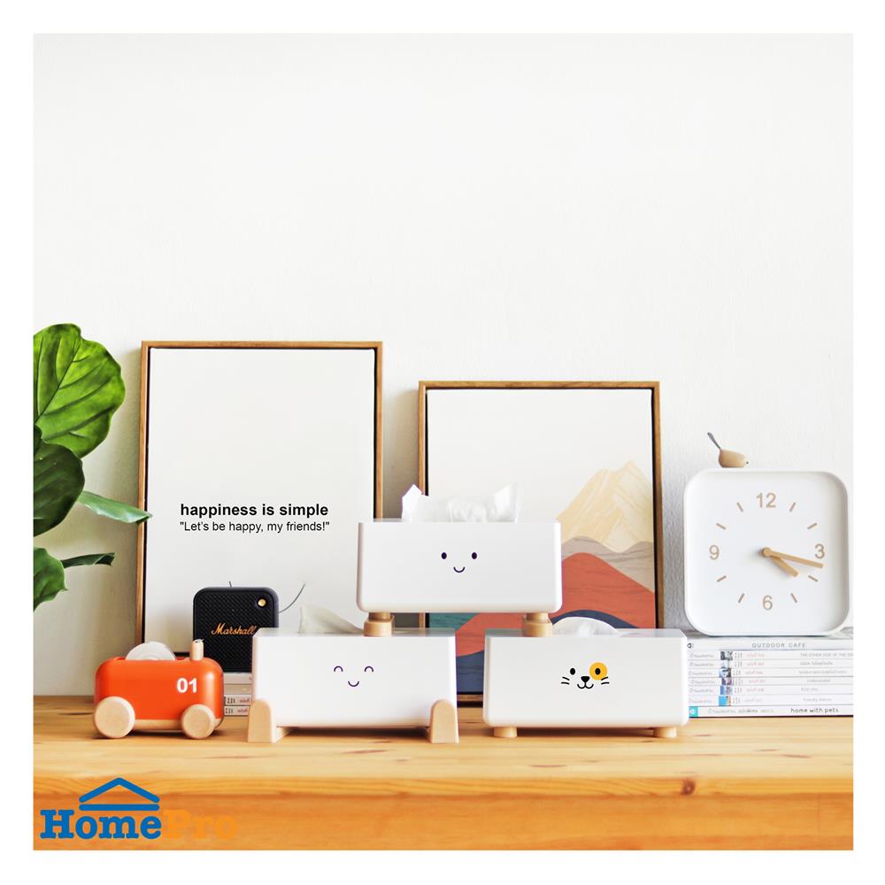 กล่องทิชชู่ซอฟท์แพค MINIMAL SCULPT FRIEND SMILE