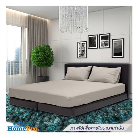 ชุดผ้าปูที่นอน 6 ฟุต (ชุด 5 ชิ้น) STEVENS PURE COTTON ML21CR_0