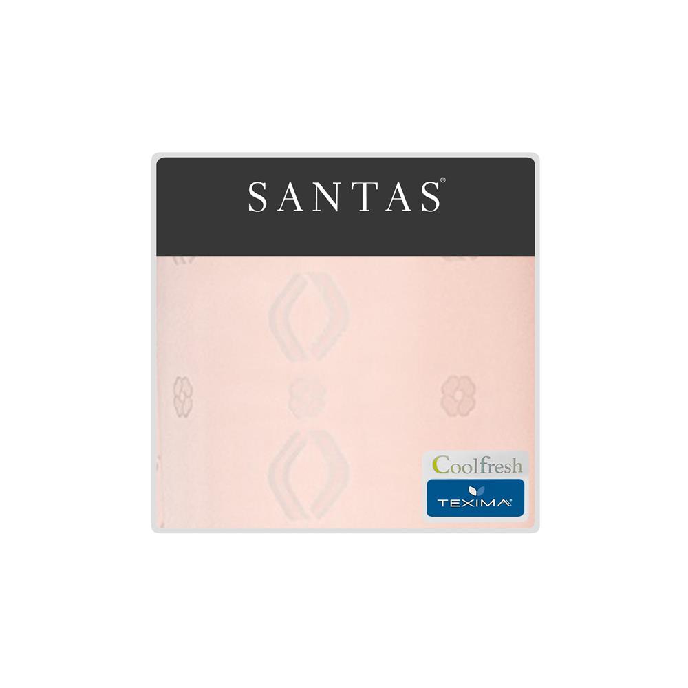 ชุดผ้าปูที่นอน 5 ฟุต (ชุด 5 ชิ้น) SANTAS TEXIMA PEONIA OS