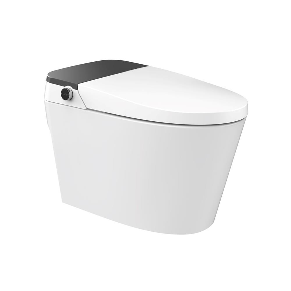 สุขภัณฑ์อัตโนมัติ HAFELE 495.61.486 4.3 ลิตร