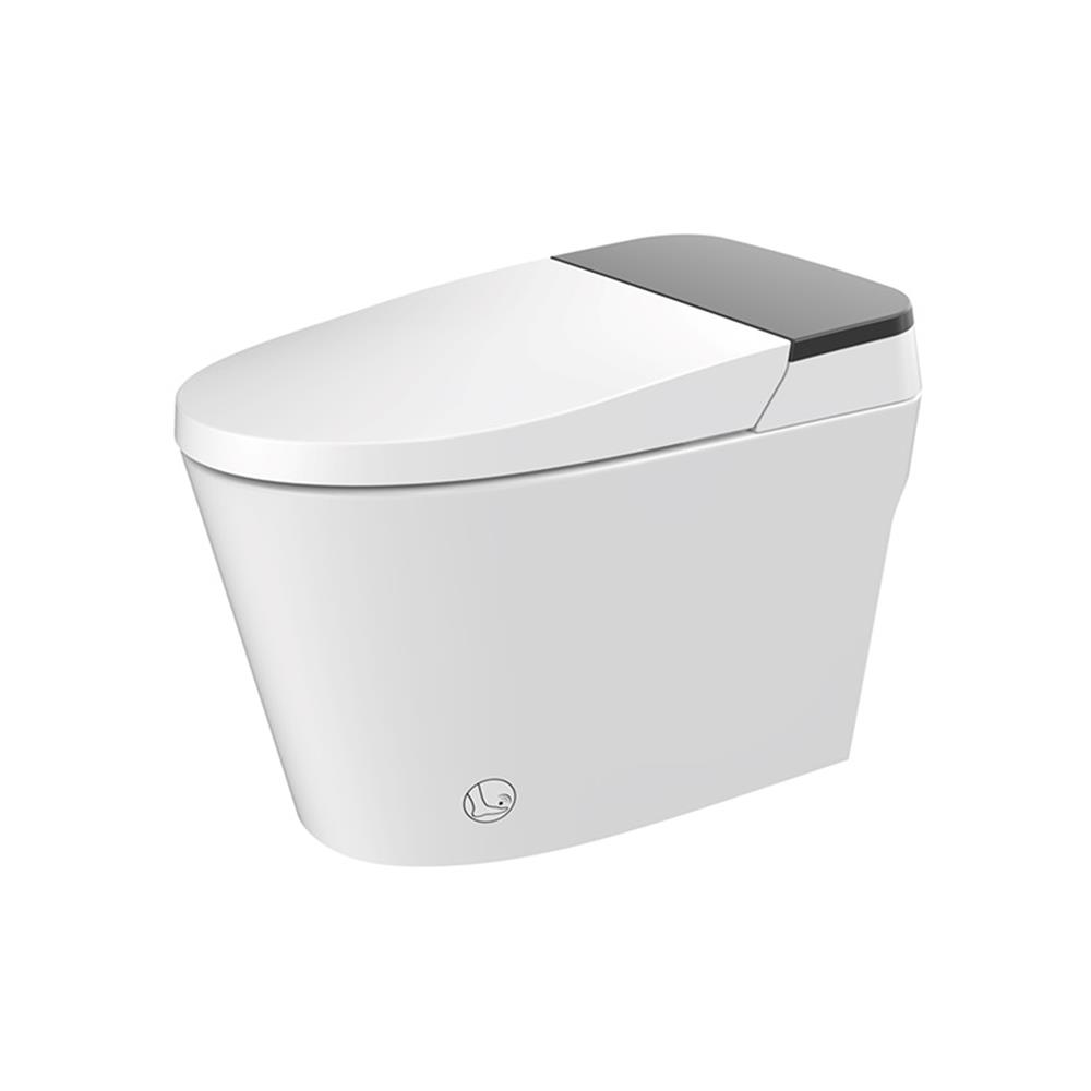 สุขภัณฑ์อัตโนมัติ HAFELE 495.61.486 4.3 ลิตร