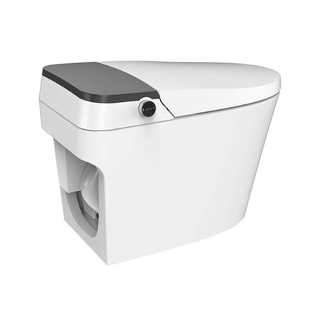 สุขภัณฑ์อัตโนมัติ HAFELE 495.61.486 4.3 ลิตร_3