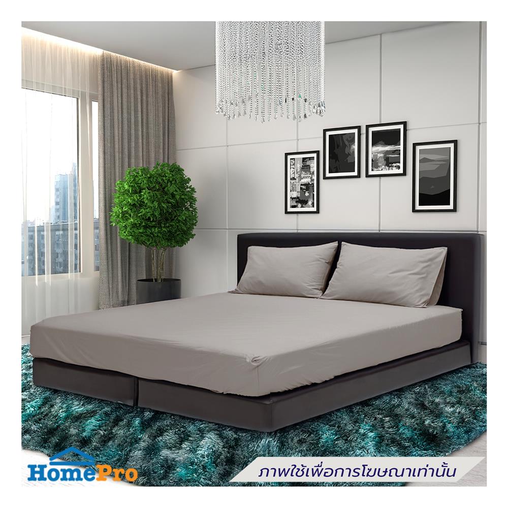 ชุดผ้าปูที่นอน 3.5 ฟุต (ชุด 3 ชิ้น) STEVENS SOFTEX ON16BI