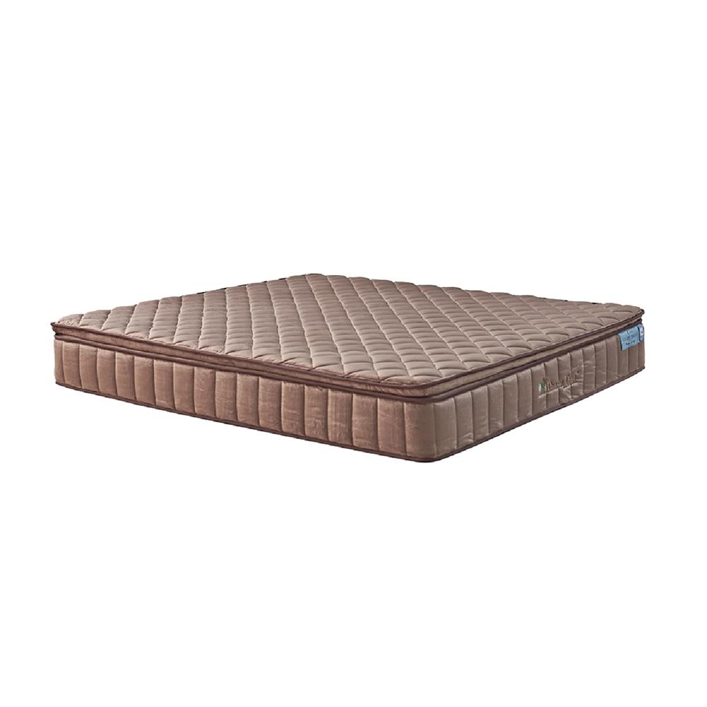 ที่นอน 5 ฟุต DREAM TREE LUCKY DREAM