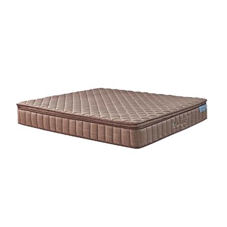 ที่นอน 5 ฟุต DREAM TREE LUCKY DREAM_0