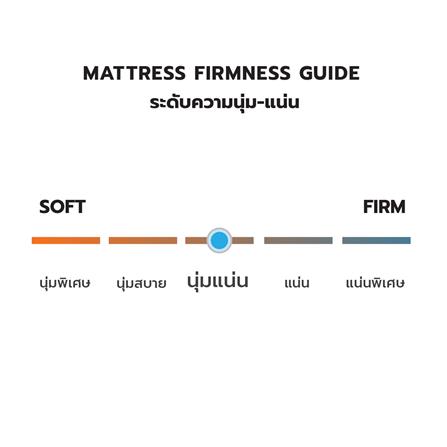 ที่นอน 5 ฟุต DREAM TREE LUCKY DREAM_5