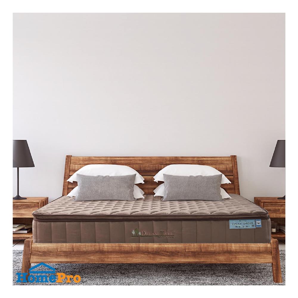 ที่นอน 6 ฟุต DREAM TREE LUCKY DREAM