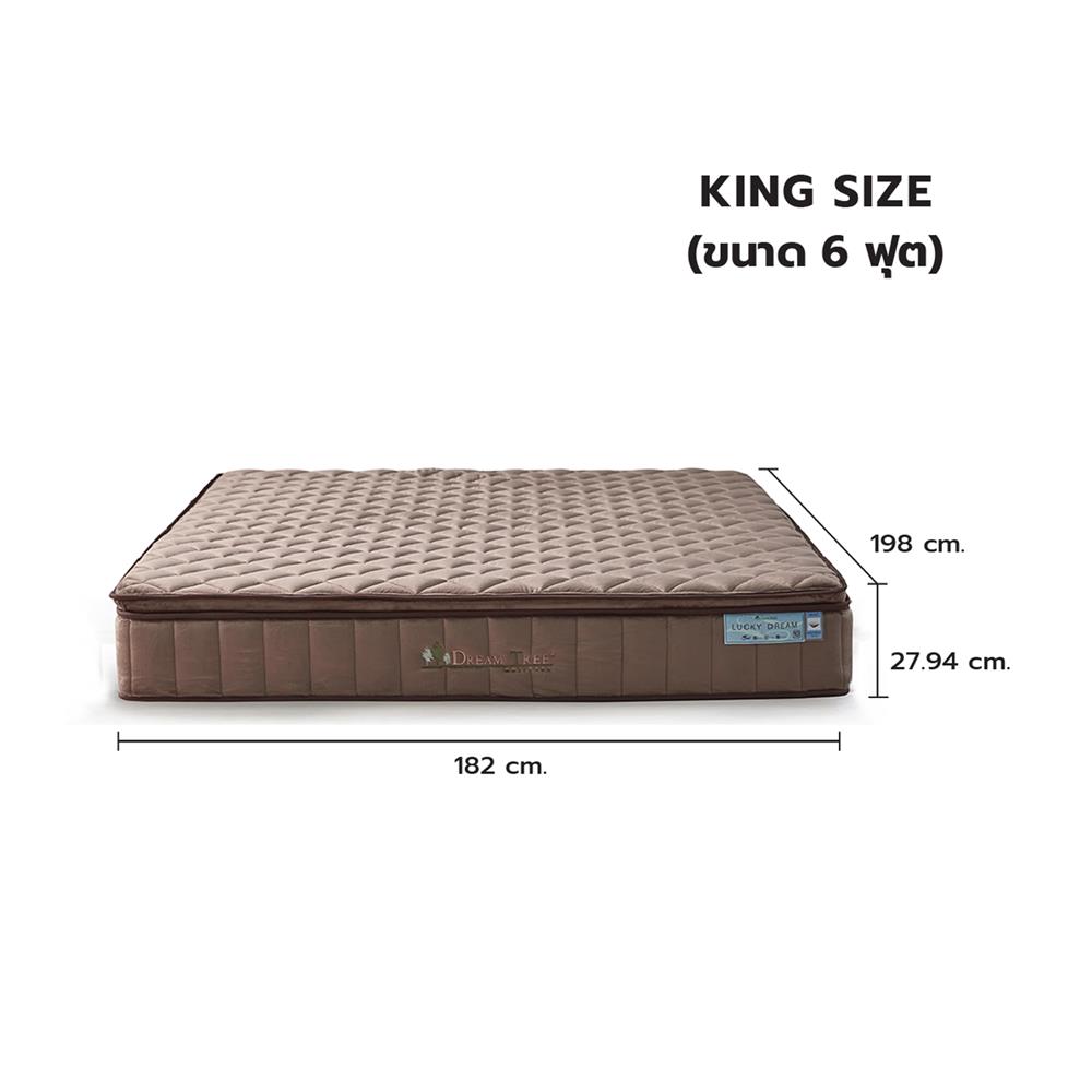 ที่นอน 6 ฟุต DREAM TREE LUCKY DREAM