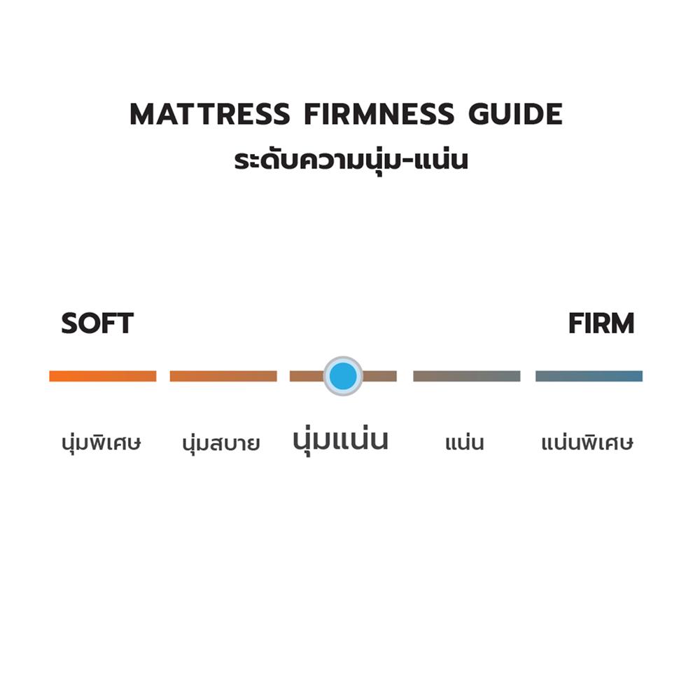 ที่นอน 6 ฟุต DREAM TREE LUCKY DREAM