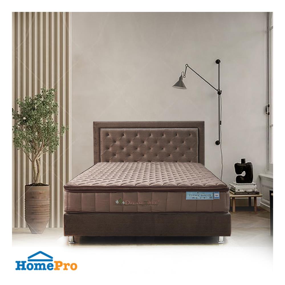 ที่นอน 3.5 ฟุต DREAM TREE LUCKY DREAM