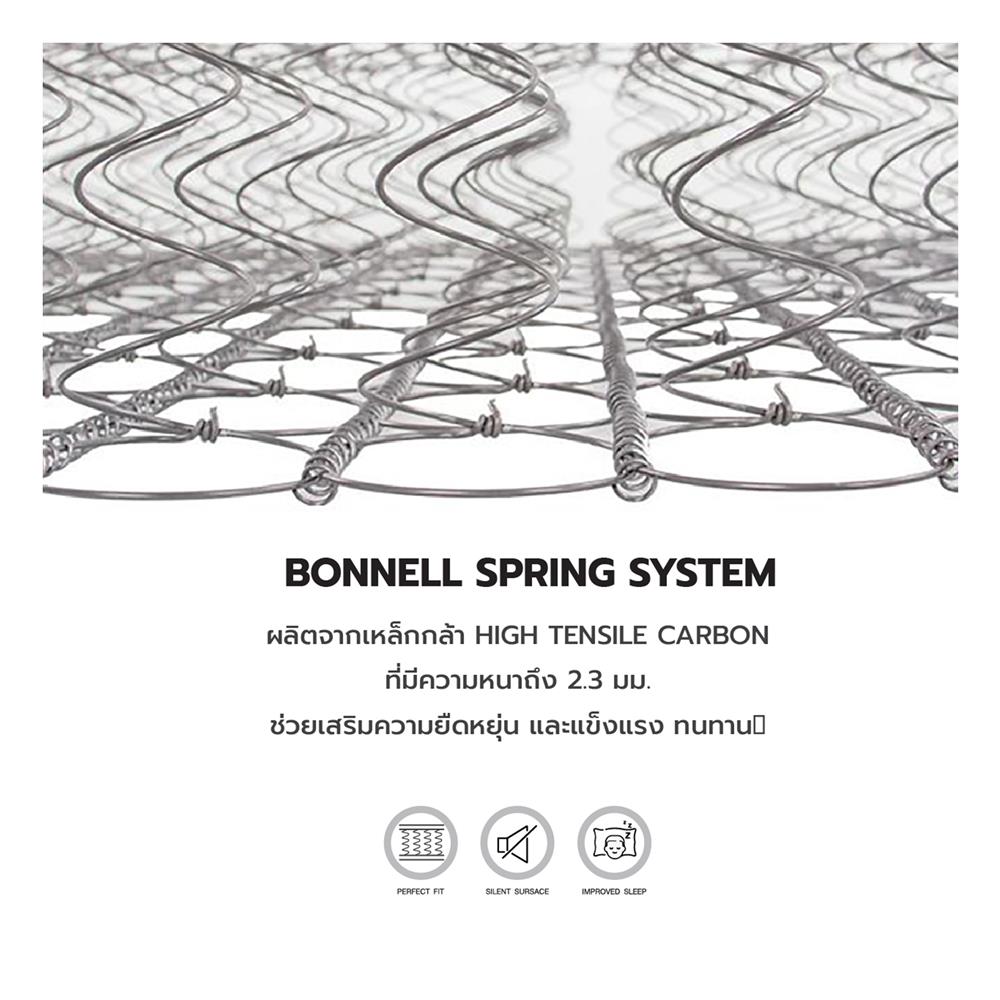 ที่นอน 3.5 ฟุต DREAM TREE LUCKY DREAM