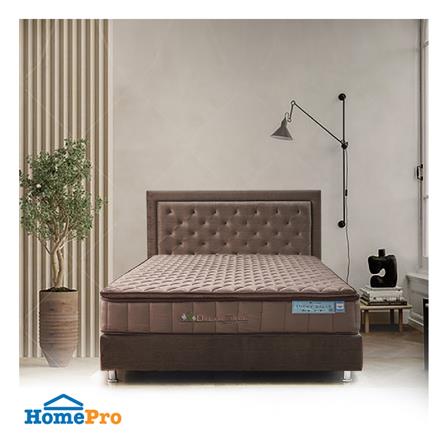 ที่นอน 3.5 ฟุต DREAM TREE LUCKY DREAM_2