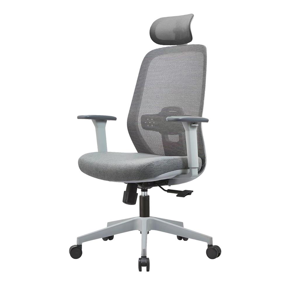 เก้าอี้สุขภาพ ERGOTREND DAWN สี่เทา