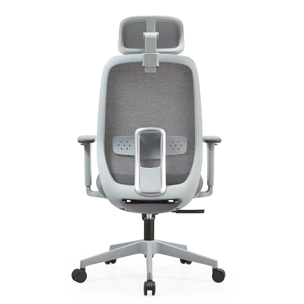 เก้าอี้สุขภาพ ERGOTREND DAWN สี่เทา