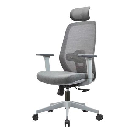 เก้าอี้สุขภาพ ERGOTREND DAWN สี่เทา_0