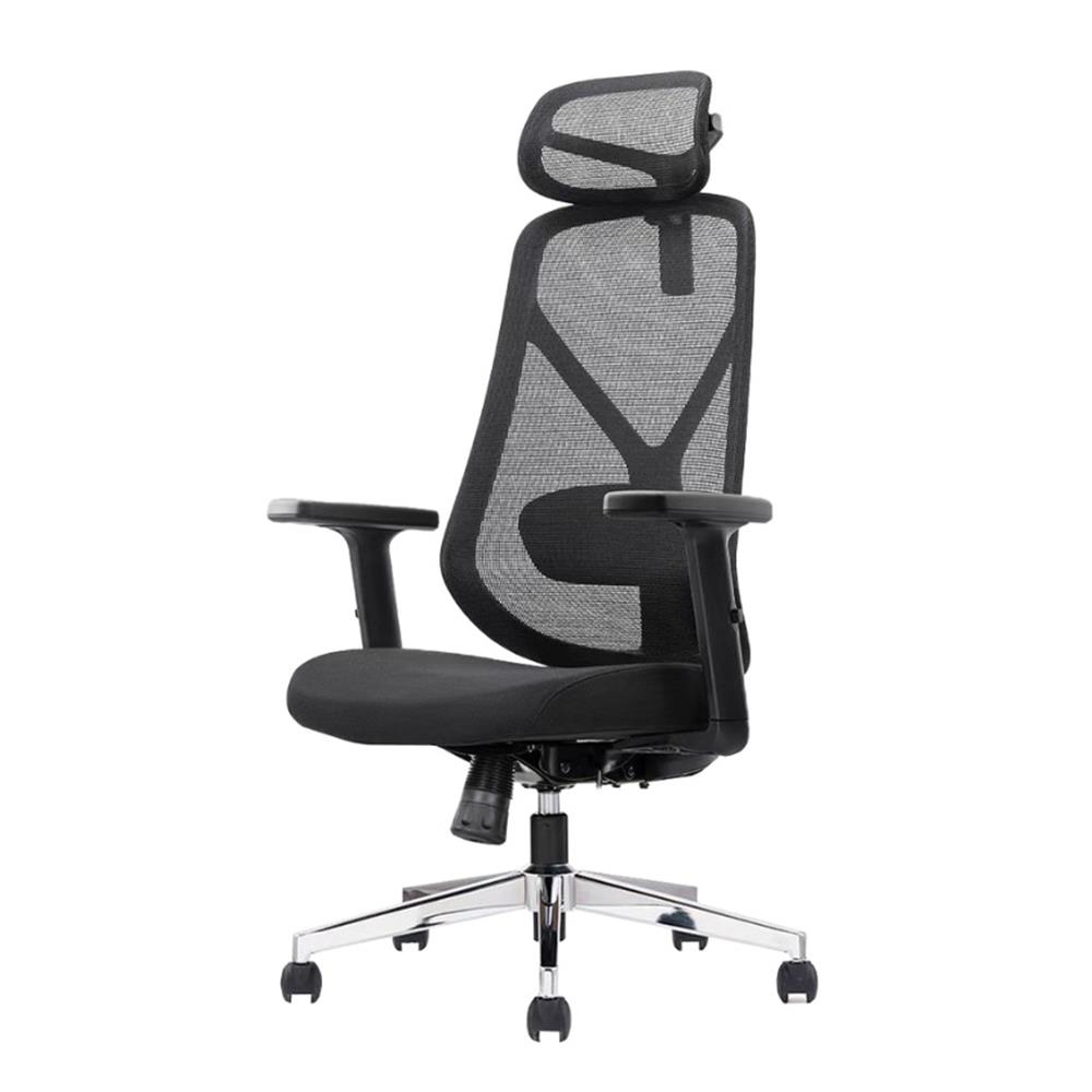 เก้าอี้สุขภาพ ERGOTREND YOO สีดำ