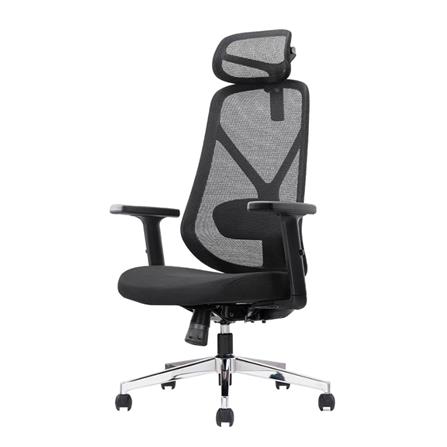 เก้าอี้สุขภาพ ERGOTREND YOO สีดำ_0