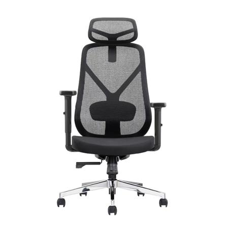 เก้าอี้สุขภาพ ERGOTREND YOO สีดำ_1