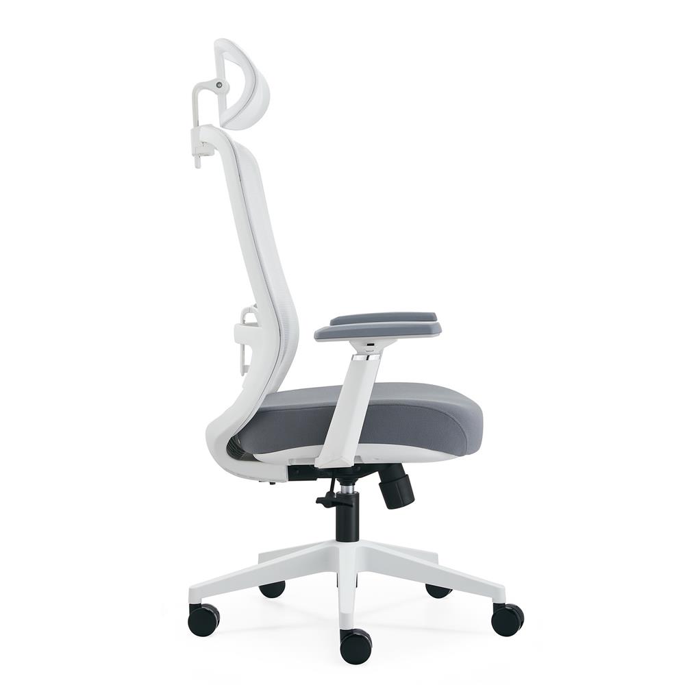 เก้าอี้สุขภาพ ERGOTREND GLACIER สีขาว