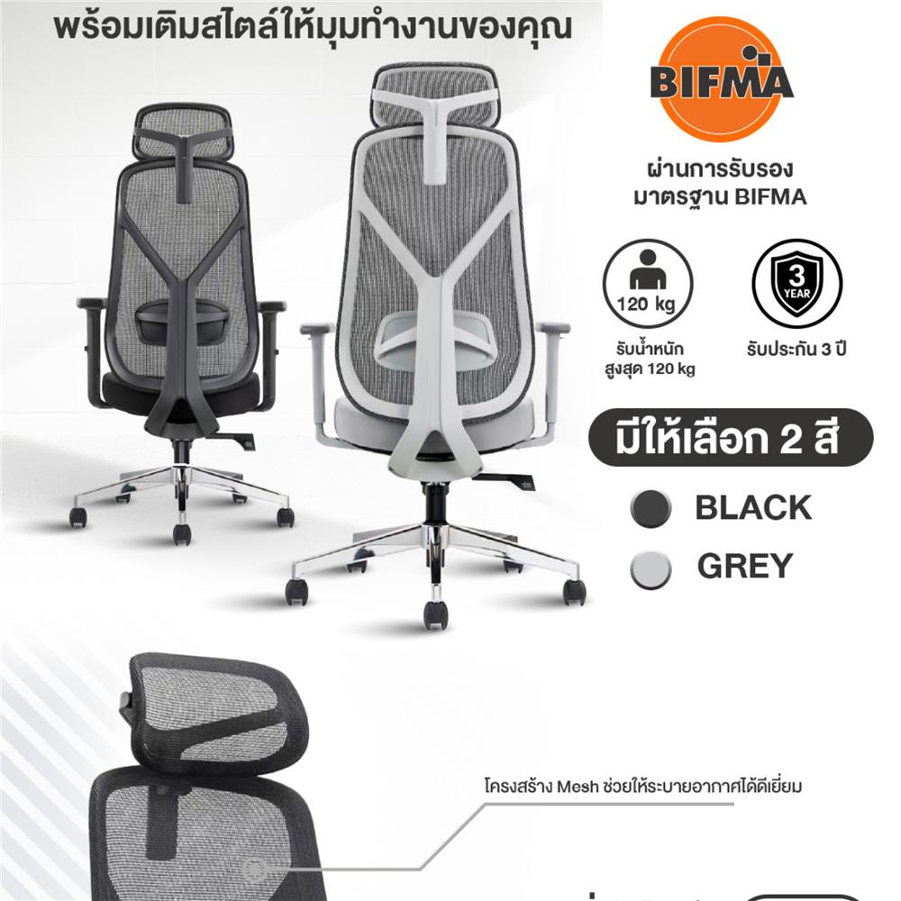 เก้าอี้สุขภาพ ERGOTREND YOO สีเทา