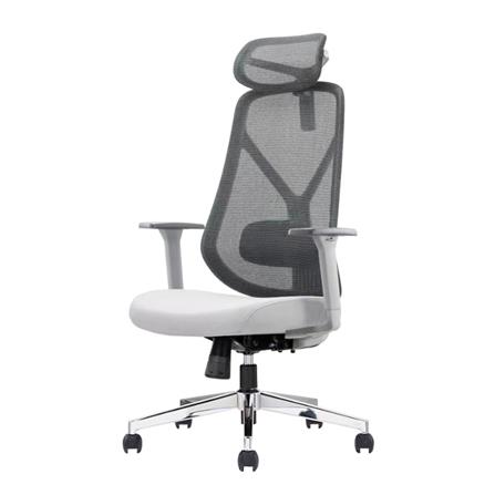 เก้าอี้สุขภาพ ERGOTREND YOO สีเทา_0