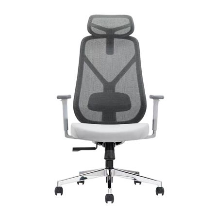 เก้าอี้สุขภาพ ERGOTREND YOO สีเทา_1