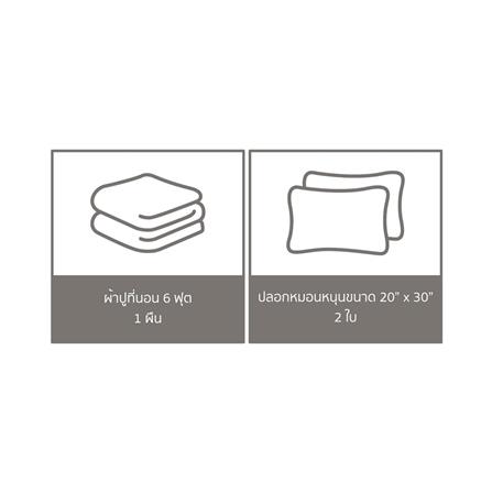 ชุดผ้าปูที่นอน 6 ฟุต (ชุด 3 ชิ้น) PERICO WE BARE BEARS P052_5